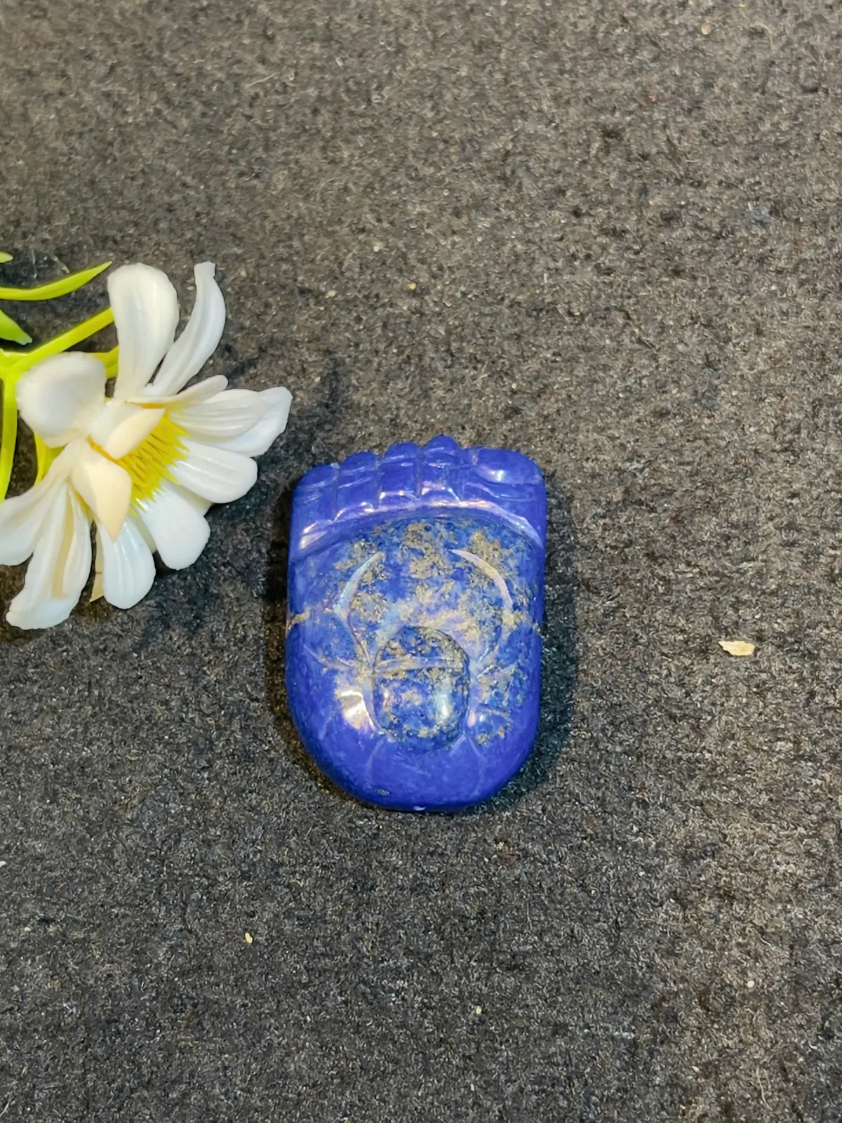 Nhện trên bàn chân phật thanh kim S6029