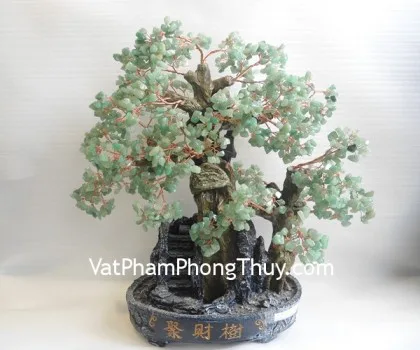 Cây tài lộc gốc đẹp đông linh ( nhỏ) KC092
